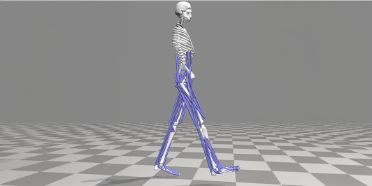Better Leg Derortation