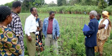 Extension officers and farmers in Tanzania dicuss IPM of tomato