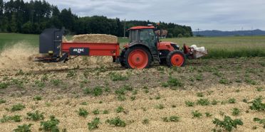Ausbringung von Strohmulch mit einem Streugerät bei Kartoffeln