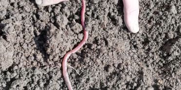 © Hans Gnauer / TRAILS4SOIL