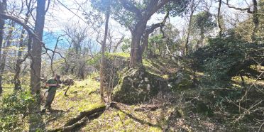 Suivi des espèces de coléoptères et de champignongs saproxylique en Valais