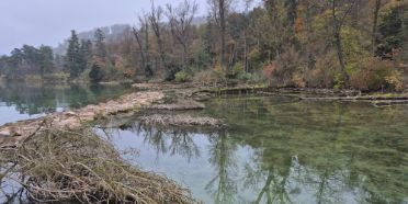 Best Practice Seeuferrevitalisierung: Anregungen für qualitätsvolle, zukunftsgerichtete Projekte.