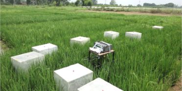 A transformative system for making rice paddies biodiverse and climate neutral