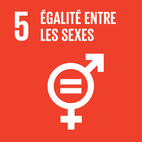 5: Égalité entre les sexes